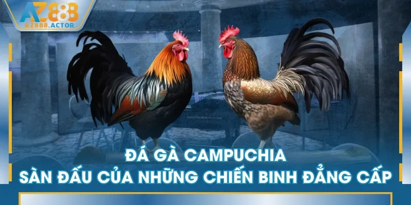 đá gà Campuchia